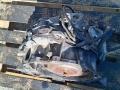 КПП автоматическая (АКПП) Opel Zafira 1 поколение (A) [рестайлинг] 2003, 2.0 л., TDi, дизель, 50-40LN - фото №5