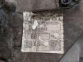 КПП механическая (МКПП) Mazda 6 GG 2002, 2.0 л., D, дизель, FB2 - фото №3