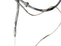блок управления ручником BMW X5 E70 2008, S007405011J - фото №4