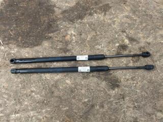 амортизатор крышки багажника (3-5 двери) Audi R8 42 2008, 4.0 л., TFSI, бензин, АКПП, купе, передний привод, 420827552, 420827552, 42082755202S