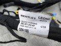 проводка торпеды Bentley Bentayga 1 поколение [рестайлинг] 4V1 2023, 4.0 л., TFSI, DCU, бензин, АКПП, темно-зеленый перламутр, внедорожник 5 дв., полный привод, правый руль, 36S971315AS - фото №7