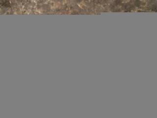 переключатель света Mercedes-Benz E-Класс W213/S213/C238/A238 W213 2017, 2.0 л., CDi, дизель, АКПП, передний привод, A2229055508, A2229055508, A21390529039J01, A22290555089J01