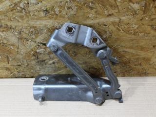 петля капота Land Rover Discovery Sport 1 поколение L550 2016, 2.0 л., дизель, АКПП, передний привод, LR075406, FK7216801AE, LR075406