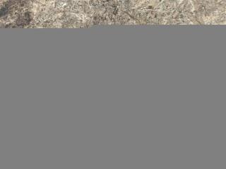 лямбда-зонд Audi R8 42 2008, 4.0 л., TFSI, бензин, АКПП, купе, передний привод, 07L906262, 07L906262