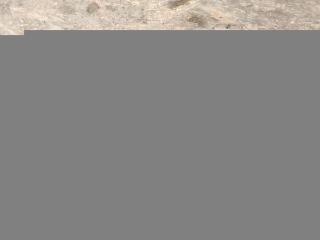 защита Mercedes-Benz E-Класс W213/S213/C238/A238 [рестайлинг] W213 2020, 2.0 л., CDi, дизель, АКПП, передний привод, A2133520300, A2133520300, A2133520400