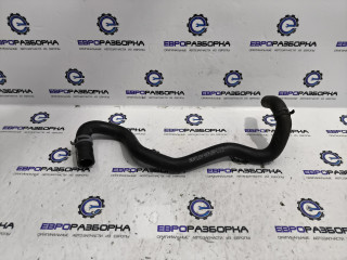 патрубок (трубопровод, шланг) Bentley Bentayga 1 поколение [рестайлинг] 4V1 2023, 4.0 л., TFSI, DCU, бензин, АКПП, темно-зеленый перламутр, внедорожник 5 дв., полный привод, правый руль, 36A121056B