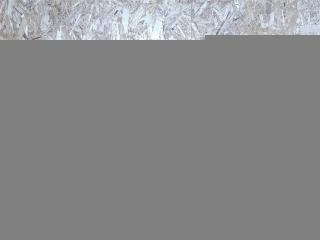 шторка багажника Audi A4 B8/8K [рестайлинг] 2011, 3.0 л., TDi, дизель, АКПП, передний привод, 8K9863553, 8K9863553