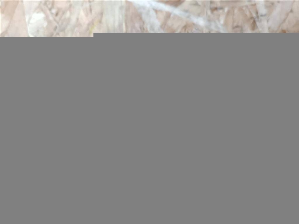 дефлектор обдува салона Mercedes-Benz E-Класс W213/S213/C238/A238 W213 2017, 2.0 л., CDi, дизель, АКПП, передний привод, A2138307700, A2138307700, A2138307800 - фото №1