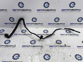 трубка вакуумная Bentley Continental GT 3 поколение 2023, 4.0 л., CVD, бензин, АКПП, красный, купе, полный привод, правый руль, 3SA145739C