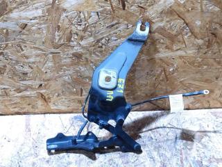 петля капота BMW X6 E71/E72 E71 2011, 3.0 л., D, N57 D30 B, дизель, АКПП, передний привод, 7208628, 7208628