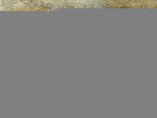 блок комфорта Renault Scenic 3 поколение 2009, АКПП, передний привод, 284B18853R, S180180060, 730602128