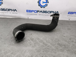 патрубок интеркулера Audi A5 F5 [рестайлинг] F53 2023, 2.0 л., TFSI, DMS, бензин, вариатор, оливковый, купе, передний привод, правый руль, 8W0145738N