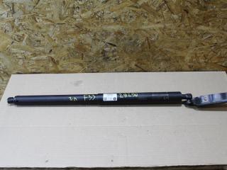 амортизатор крышки багажника (3-5 двери) BMW X2 F39 2021, 2.0 л., бензин, АКПП, полный привод, правый руль, 51249465654, 51249465655