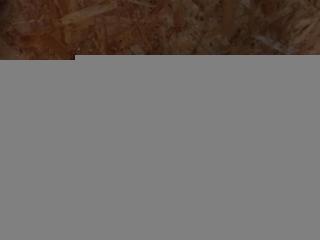 клапан прокачки сцепления BMW 6 серия F12/F13 [рестайлинг] F13 2017, 4.0 л., дизель, АКПП, передний привод, 17128517077, 17128517077, 517077, 8517077