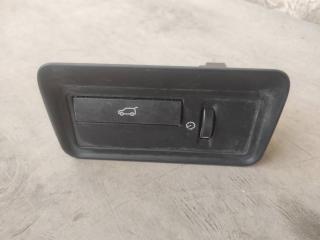 кнопка открытия багажника Land Rover Range Rover 4 поколение L405 2013, 4.4 л., дизель, АКПП, полный привод, правый руль, LR038676, CPLA11654CA, LR038676