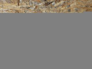 сирена (гонг) Mercedes-Benz E-Класс W212/S212/C207/A207 [рестайлинг] W212 2013, АКПП, передний привод, A0038207726, A0038207726, A2048705726