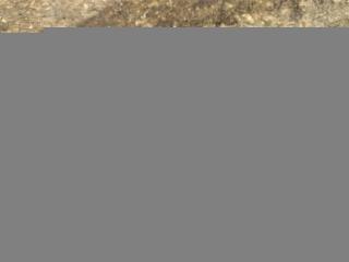 кронштейн (крепление) Mercedes-Benz E-Класс W213/S213/C238/A238 W213 2017, 2.0 л., CDi, дизель, АКПП, задний привод, A2137230900, A2137230900, C44122102LH