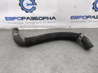 патрубок радиатора Jeep Grand Cherokee 4 поколение [рестайлинг] WK2 2016, 3.0 л., АКПП, передний привод, 55038028AG, 55038028AB, 55038028AE