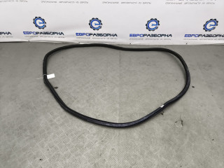 уплотнитель двери Bentley Bentayga 1 поколение [рестайлинг] 4V1 2023, 4.0 л., TFSI, DCU, бензин, АКПП, темно-зеленый перламутр, внедорожник 5 дв., полный привод, правый руль, 36A833721