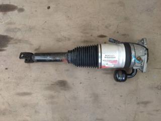 пневмостойка задняя Bentley Continental GT 1 поколение 2007, 6.0 л., бензин, АКПП, передний привод, 3W0616002B, 3W0616002B, 3W0616002C