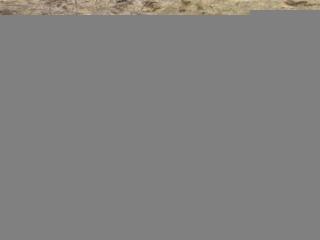 педаль Porsche 911 991 2014, 3.4 л., бензин, АКПП, задний привод, 97042302101, 97042302101, 6PV00879223