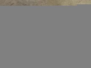 Распределитель питания Audi SQ5 FY 2018, 3.0 л., TFSI, бензин, АКПП, передний привод, 80A941823A, 80A941823A