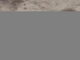 полуось (приводной вал, ШРУС) BMW 6 серия F06/F12/F13 F13 2012, 4.4 л., i, N63 B44 C, бензин, АКПП, купе, задний привод, 332, 7566086, 7566086