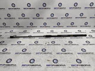 амортизатор капота Audi Q8 4M 4M8 2021, 3.0 л., TFSI, DCBD, бензин, АКПП, черный металлик, внедорожник 5 дв., полный привод, правый руль, 4M8823359A