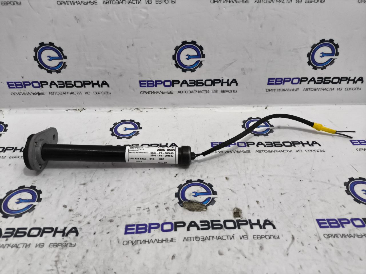 пиропатрон петли капота Bentley Continental GT 3 поколение 2023, 4.0 л., CVD, бензин, АКПП, красный, купе, полный привод, правый руль, 3SA823823A - фото №1