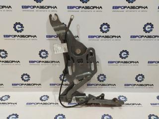 петля капота правая BMW X6 E71 [рестайлинг] E71 2013, 3.0 л., бензин, АКПП, передний привод, 7148348, 51237148348, 41617208630, 41007198618