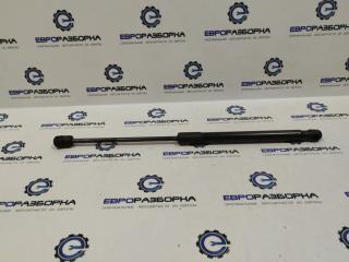 амортизатор капота BMW X6 E71 [рестайлинг] E71 2013, 3.0 л., бензин, АКПП, передний привод, 7148346, 51237148346