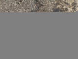 трубка кондиционера Audi R8 42 2008, 4.0 л., TFSI, бензин, АКПП, купе, передний привод, 420260704, 420260704, 420260704C
