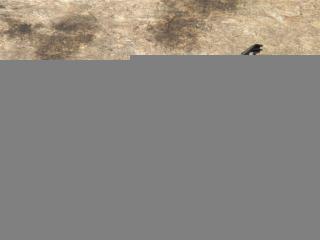 кронштейн (крепление) Mercedes-Benz E-Класс W213/S213/C238/A238 W213 2017, 2.0 л., CDi, дизель, АКПП, задний привод, A2135451140, A2135451140