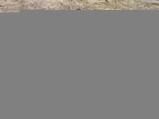 амортизатор передний Audi A4 B9 2019, 2.0 л., TDi, дизель, АКПП, передний привод, 8W0413031AA, 8W0413031AA, 8W0411105, 8W0413333