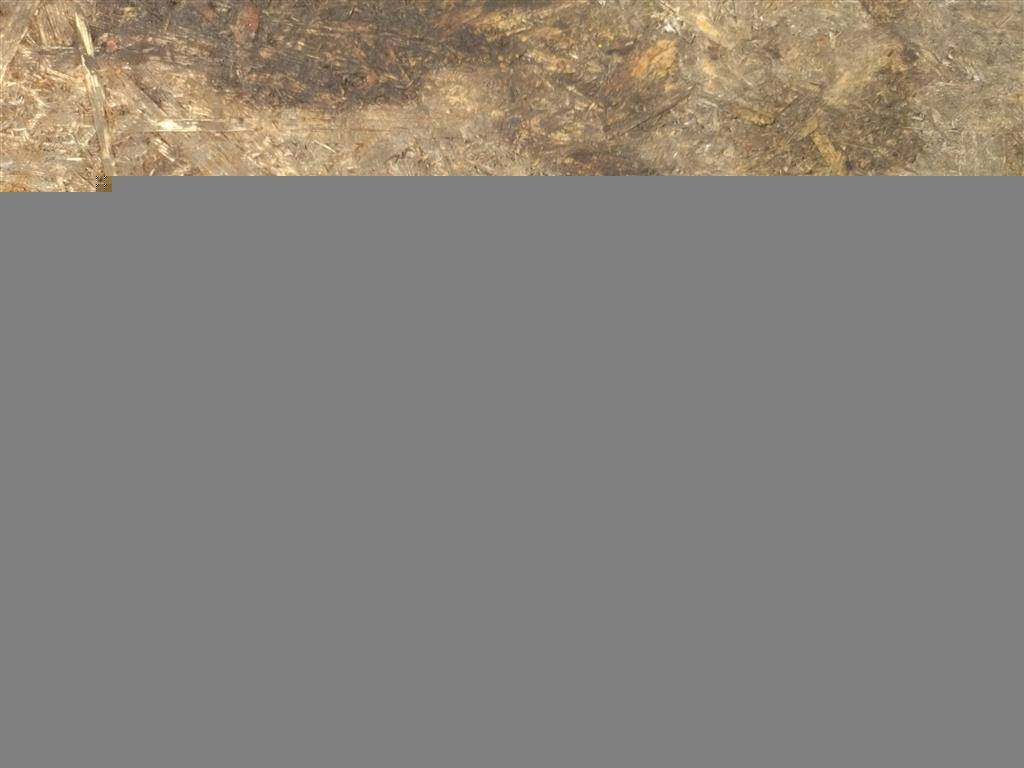 ручка наружная Mercedes-Benz E-Класс W213/S213/C238/A238 W213 2017, 2.0 л., CDi, дизель, АКПП, передний привод, A0997602100, 01050963300E, 0997600734, A0997601359, A0997607300, A0997601501, A0997601559, A0997601359 - фото №1