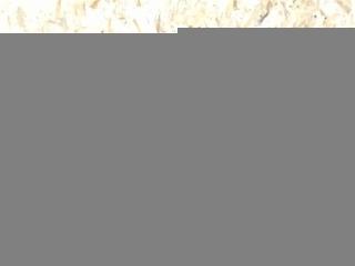 обшивка двери передняя правая Mercedes-Benz SL-Класс R231 [рестайлинг] R231 2017, 4.0 л., бензин, АКПП, передний привод, A2317200174, A2317200174