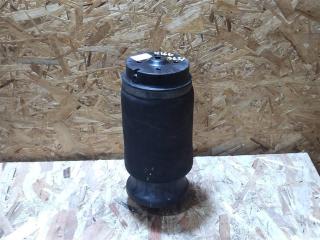 пневмоподушка Mercedes-Benz GLS-Класс X166 2019, 3.0 л., CDi, дизель, АКПП, передний привод, A1663200325, A1663200325, 310716401