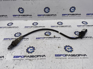 лямбда-зонд Audi A5 F5 [рестайлинг] F53 2023, 2.0 л., TFSI, DMS, бензин, вариатор, оливковый, купе, передний привод, правый руль, 8W0906265AP