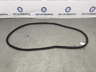 уплотнитель двери Bentley Bentayga 1 поколение [рестайлинг] 4V1 2023, 4.0 л., TFSI, DCU, бензин, АКПП, темно-зеленый перламутр, внедорожник 5 дв., полный привод, правый руль, 36A833721