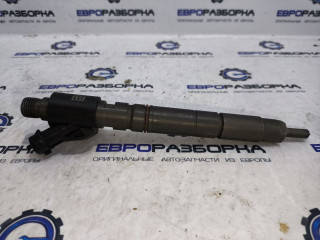 форсунка Land Rover Range Rover 3 поколение [2-й рестайлинг] L322 2012, 4.4 л., дизель, АКПП, передний привод, LR054298, AH4Q9K546BA, LR066229, AH4Q9K546BB