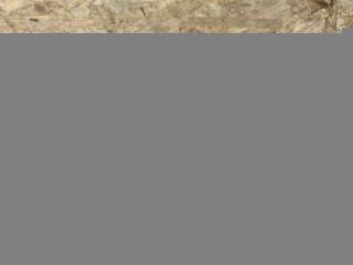 переключатель света Audi A4 B9 2019, 2.0 л., TDi, дизель, АКПП, передний привод, 4M0941531AG, 4M0941531AG, 01766559, 1033832700