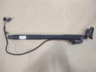 активатор замка багажника BMW X5 E70 [рестайлинг] E70 2011, 3.0 л., дизель, АКПП, передний привод, 51247286116, 51247332696, 51244887652, 51247294588, 51247172060