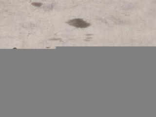 крепление бампера Mercedes-Benz CLS-Класс C218/X218 W218 2013, 3.0 л., CDi, дизель, АКПП, передний привод, A2188800730, A2188800830, A2188800730