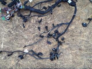 проводка двигателя BMW X6 F16 2019, дизель, АКПП, передний привод, N57D30C