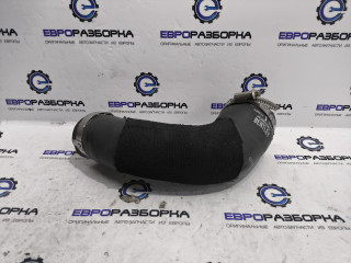 патрубок интеркулера Bentley Bentayga 1 поколение [рестайлинг] 4V1 2023, 4.0 л., TFSI, DCU, бензин, АКПП, темно-зеленый перламутр, внедорожник 5 дв., полный привод, правый руль, 36A145738C