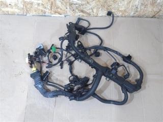 проводка двигателя BMW X6 E71/E72 E71 2011, 3.0 л., D, N57 D30 B, дизель, АКПП, передний привод, 7808328, 7808328, 780832807, EA00328069