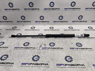 амортизатор капота Lexus RX 4 поколение 2017, 3.0 л., бензин, АКПП, передний привод, 534400E070A, 53440-0E071