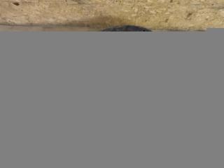 защита арок (подкрылок) Audi SQ5 FY 2018, 3.0 л., TFSI, бензин, АКПП, передний привод, 80A821172E, 80A821172E