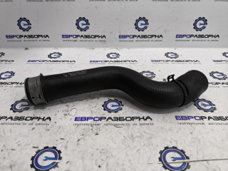 патрубок радиатора Bentley Continental GT 3 поколение 2023, 4.0 л., CVD, бензин, АКПП, красный, купе, полный привод, правый руль, 971122101D