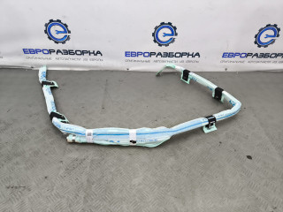 подушка безопасности боковая (шторка) Bentley Continental GT 3 поколение 2023, 4.0 л., CVD, бензин, АКПП, красный, купе, полный привод, правый руль, 3SD880742E